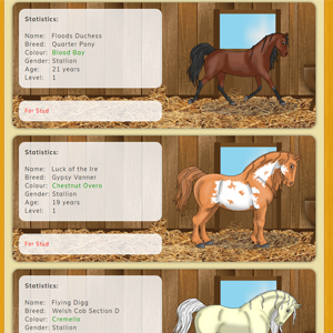 Care for your own virtual horses.
